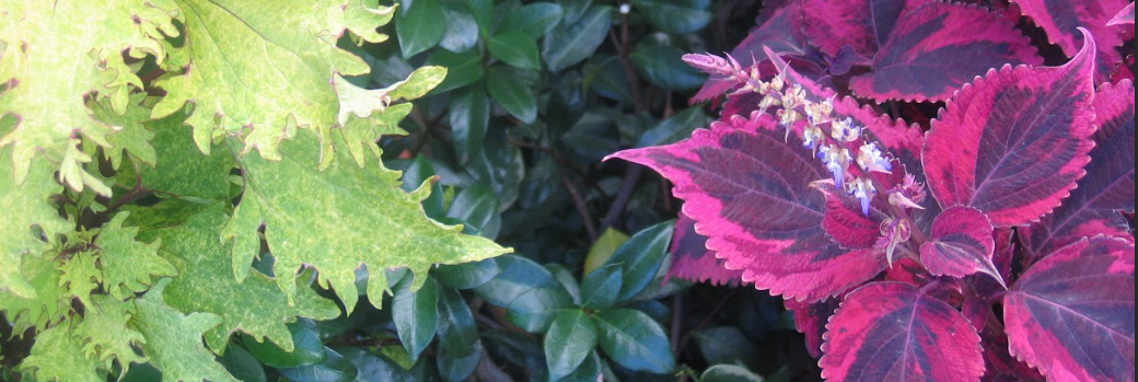 Captura de pantalla 2024-01-12 221523